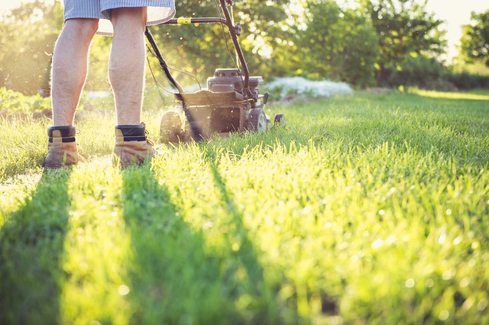 A crew member mowing a lawn on the route